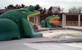 Frog slides in the children's zero-depth entrance pool at Killens Pond